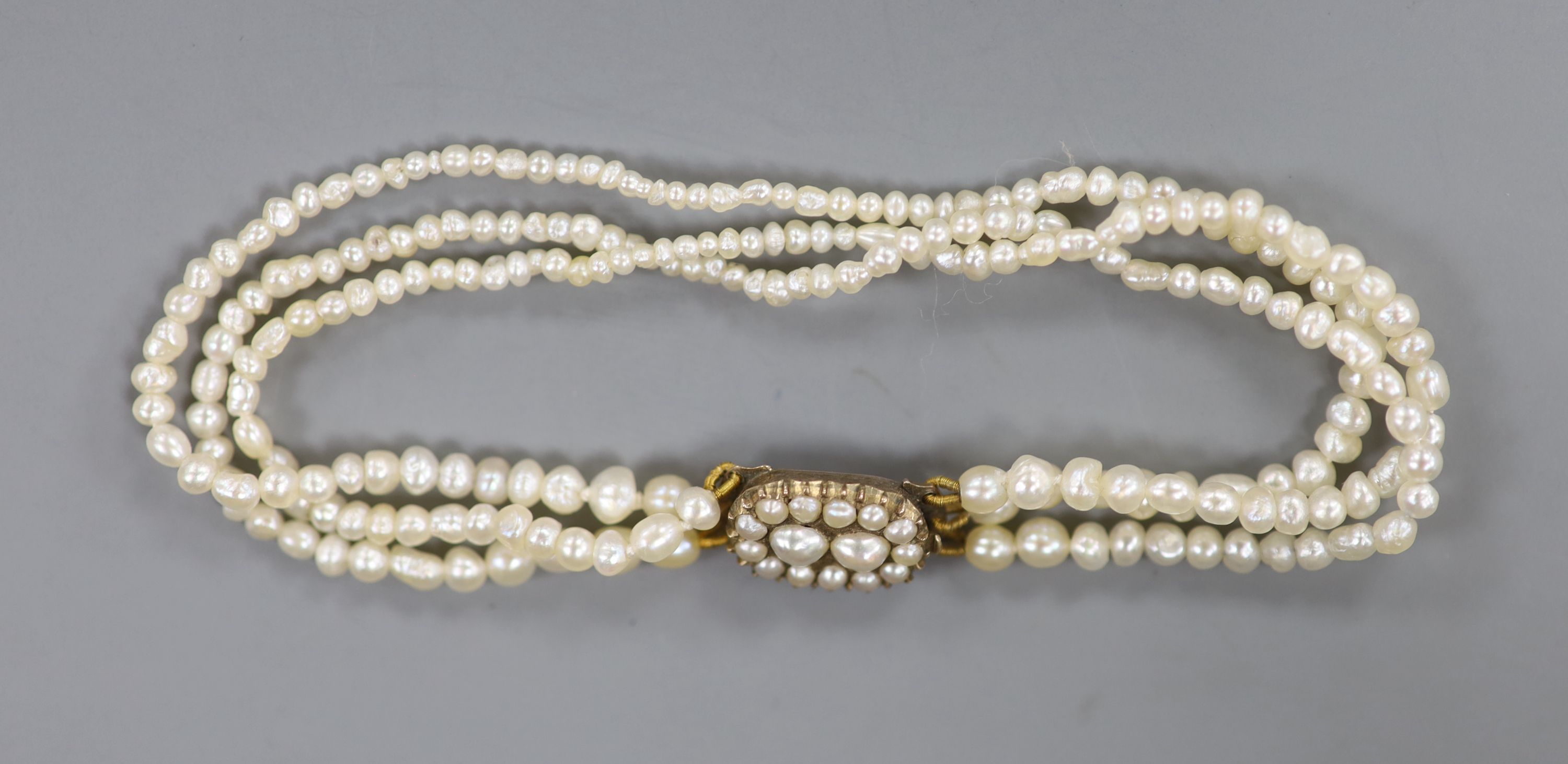 An Edwardian triple strand seed pearl bracelet, with yellow metal and seed pearl set clasp